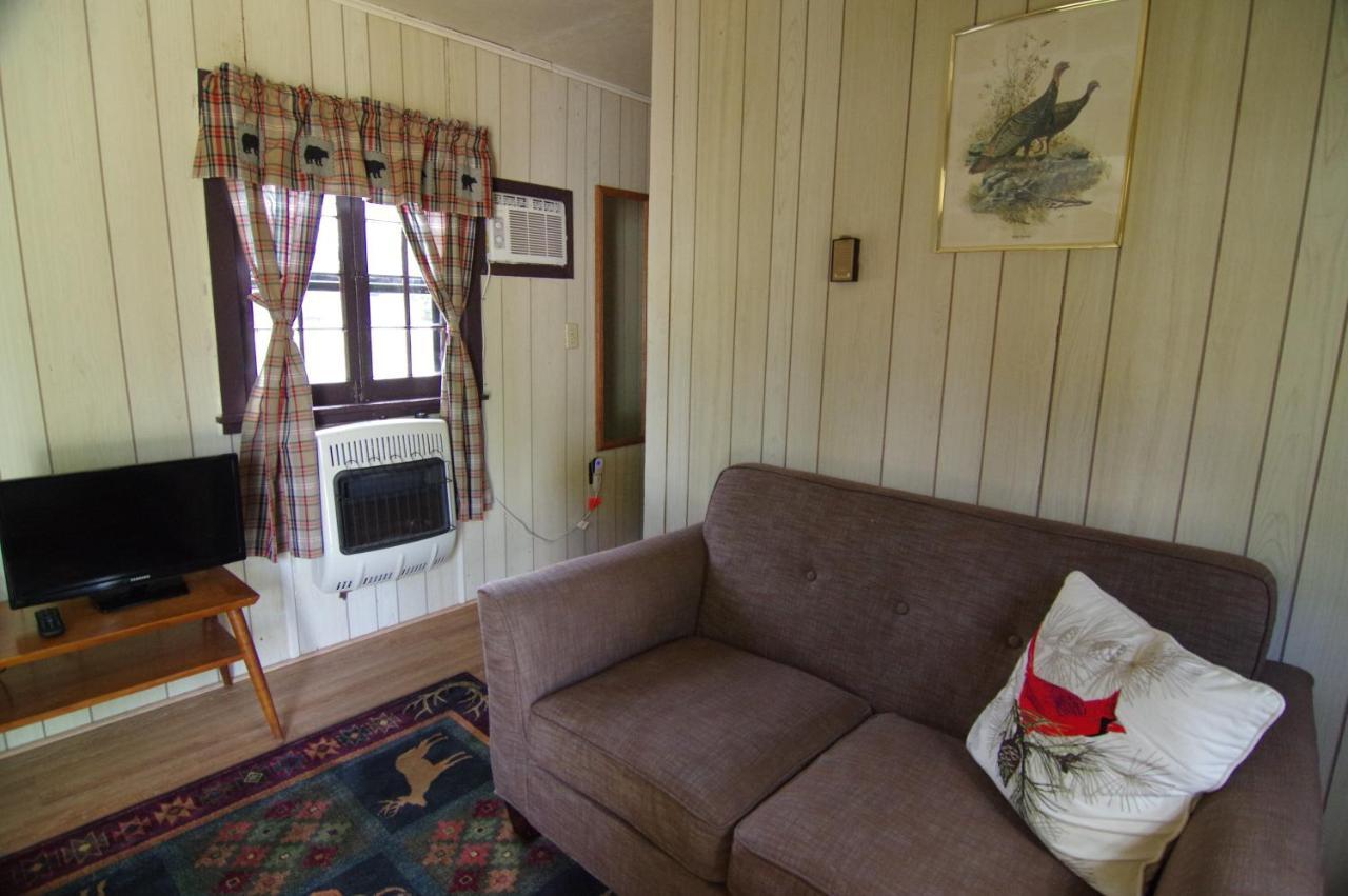 Moreno'S Adirondack Cabins 萨拉纳克莱克 外观 照片